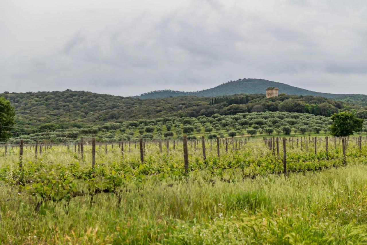 Tenuta Agricola Dell'Uccellina Magliano in Toscana Luaran gambar