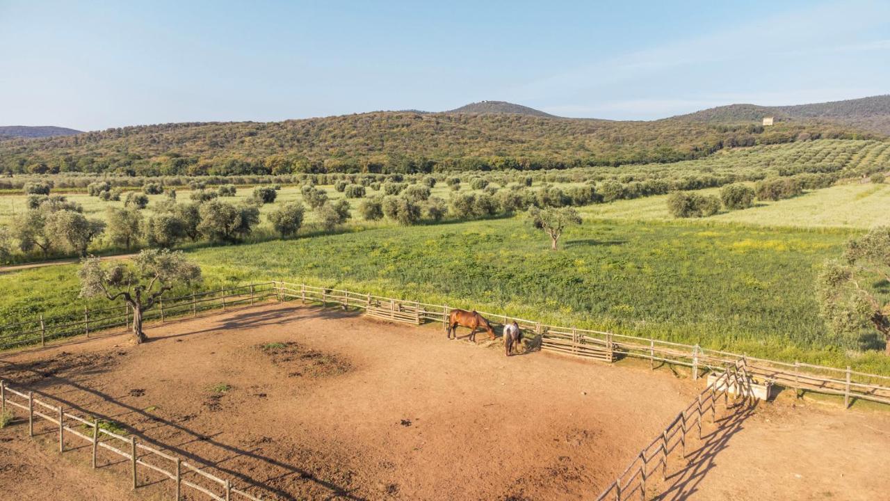 Tenuta Agricola Dell'Uccellina Magliano in Toscana Luaran gambar
