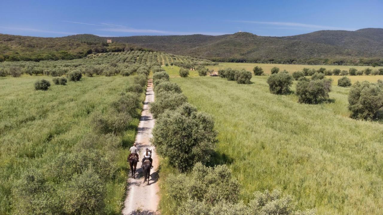 Tenuta Agricola Dell'Uccellina Magliano in Toscana Luaran gambar
