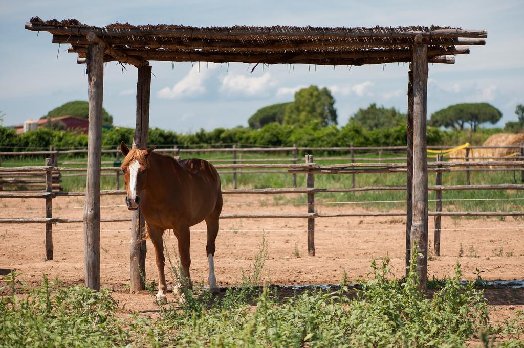Tenuta Agricola Dell'Uccellina Magliano in Toscana Luaran gambar