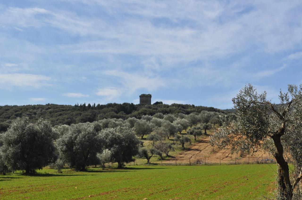 Tenuta Agricola Dell'Uccellina Magliano in Toscana Luaran gambar
